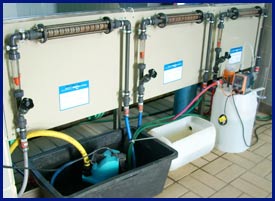 Reiniger für Trinkwassersysteme